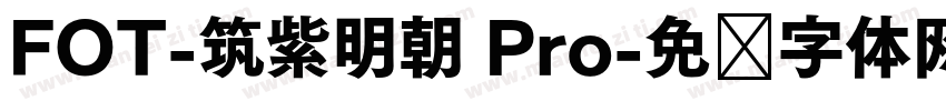 FOT-筑紫明朝 Pro字体转换